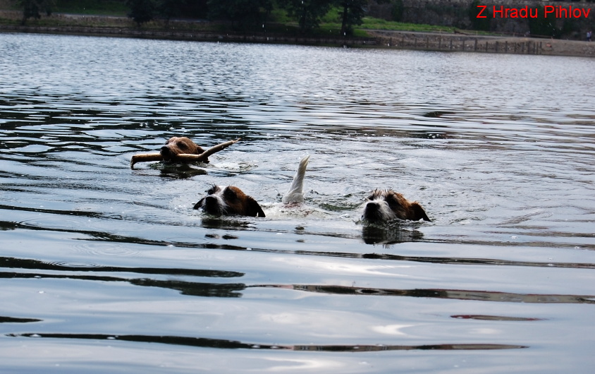 DSC_0295.JPG