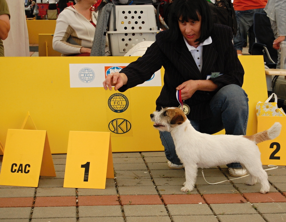 Interra 2009 Haly 5.JPG