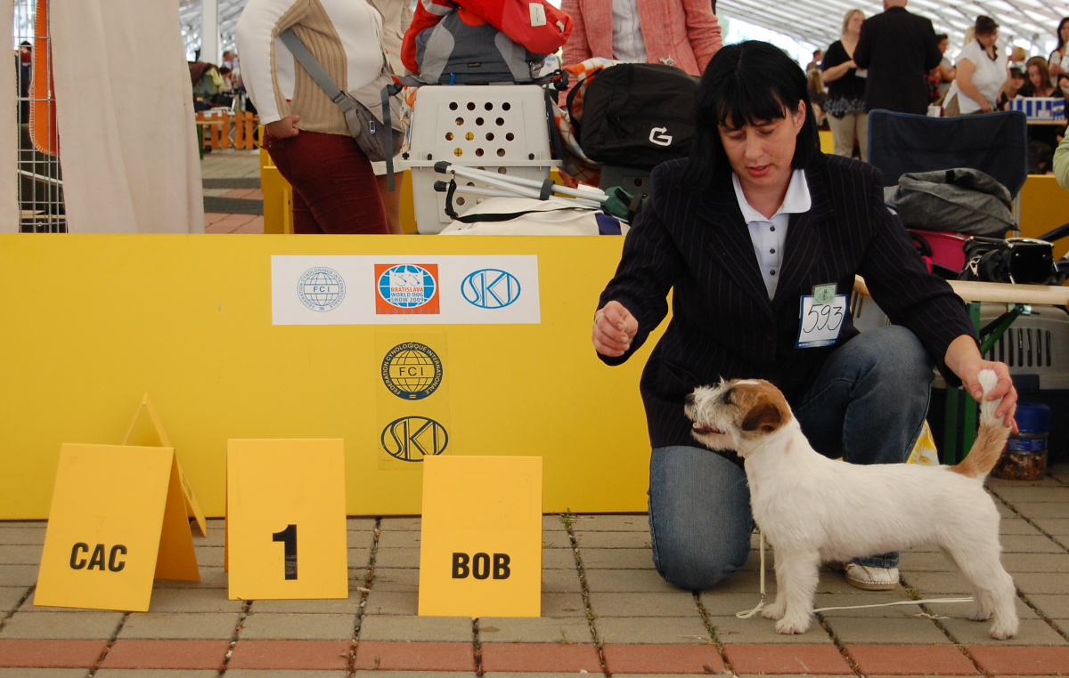 TInterra 2009 Haly CAC, BOB.JPG