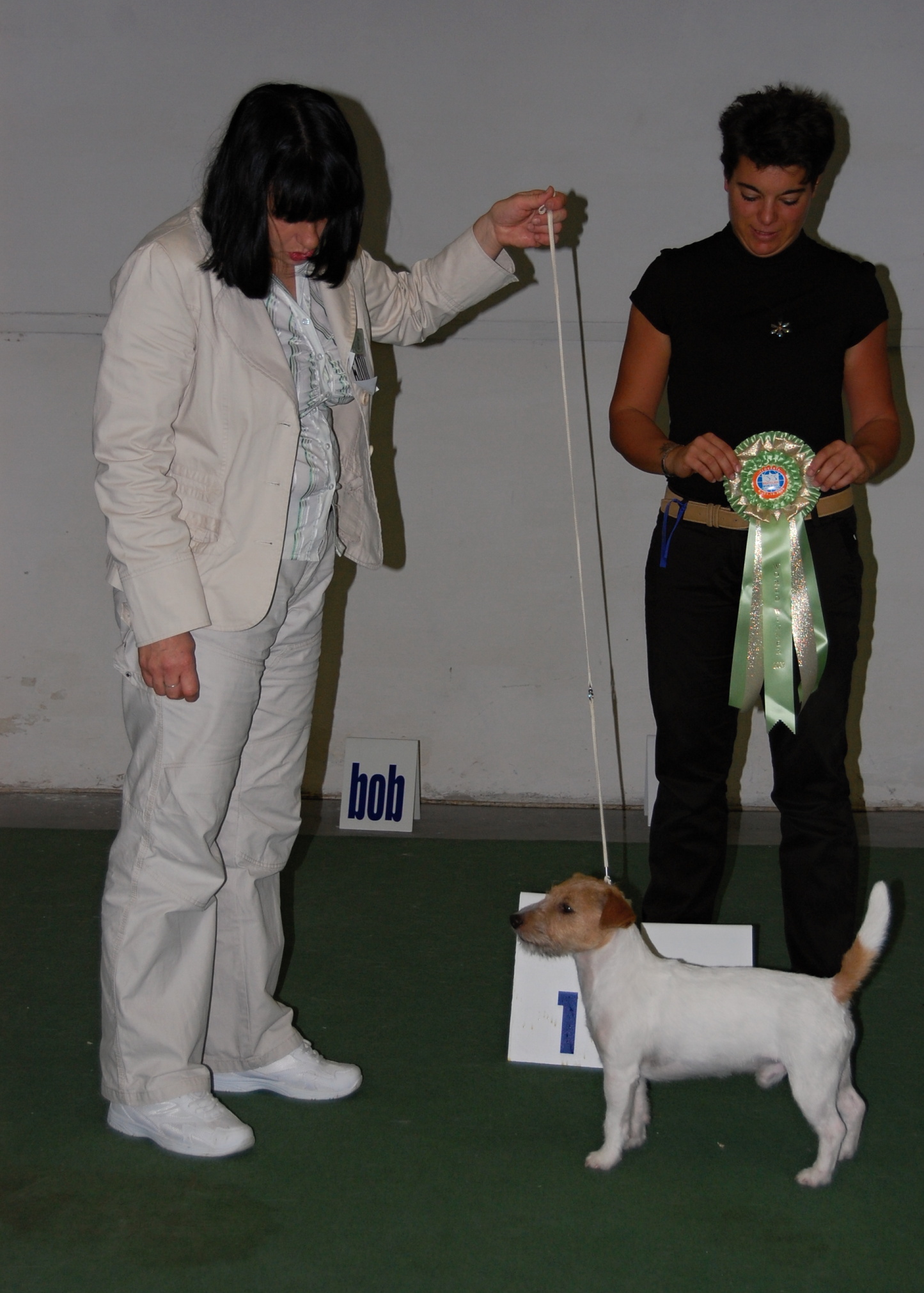 WDS Nick CACIB Fr..JPG